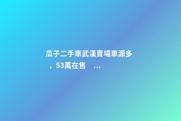 瓜子二手車武漢賣場車源多，5.3萬在售，僅奧迪品牌就有3000多輛